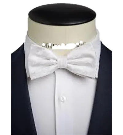 Imported%20Silk%20Bow%20Tie%20For%20Men's%20-%20Image%204