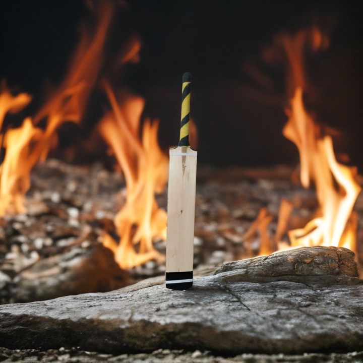 GERMAN%20WOODEN%20HANDLE%20BAT,BAT,CRICKET%20BAT,TAPE%20BALL%20BAT,TENNIS%20BALL%20BAT%20-%20Image%202