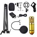 BM 900 Condenser Microphone complete Kit. 