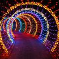 Fairy Lights Multicolor Pack of 2 Decoration Lights Led Lights Still LED Long String Best Quality LED Light. 