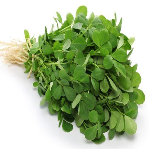 Methi%20Saag%20K%20Beech%20%7C%20Fenugreek%20Seeds%20Large%20%7C%20Organic%20&%20Fresh%20Garden%20Seeds%20-%20Image%203