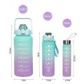 3 Pieces Combo Motivational Water Bottle Set For Day-to-Day Routine | With Time Marker, Funny Stickers, Straw & Handle (2L+900ml+280ml) (Pink With Multi Shades). 