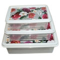 Fancy Design Premium Quality Food Container Box Set of 3pcs. 