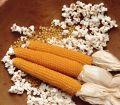 Pop corn Kernels Imported 125g (Premium). 