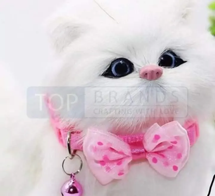 High%20Quality%20Bownot%20Collar%20For%20Cats%20-%20Pink%20-%20Image%203