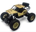 Monster Truck RC Toy for Boys High Speed 1:18 Die-Cast Remote Control Toys For Kids Off-Road Racing Truck. 