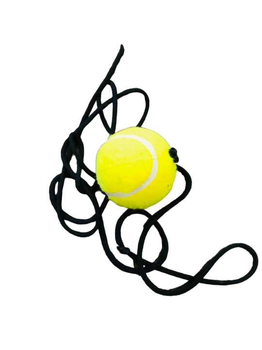 Cricket Hanging soft tap Ball for /Practicing Ball/ Knockings Ball with Attached String/Rope/Cord for Players, Beginner /Hand-Eye Coordination (Pack of 1), Hard Plastic Hanging Ball for Cricket tap ball hanging ball