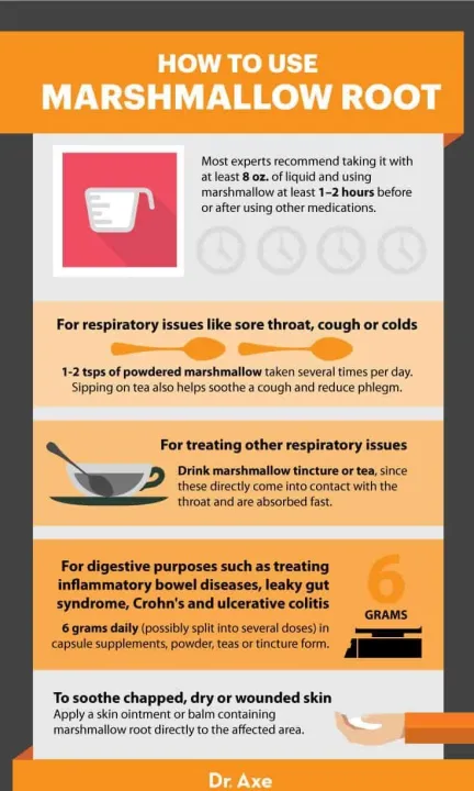 Organic%20Marshmallow%20Root%20Powder%20114%20g%20-%20Image%204