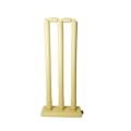 Set of 3 Heavy Durable Plastic Wicket Stumps with Bails - Perfect for Cricket Practice and Casual Games (Plastic Wicket Set) Easy to Set Up and Take Down (Random Color). 