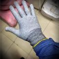 Anti-Cut/Resistant Gloves. 
