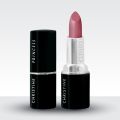 Christine Princess Lipstick - Shade 175. 