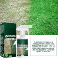 Lawn Spray Paint Eco-Friendly Green Gr Spray Paint Colorant. 