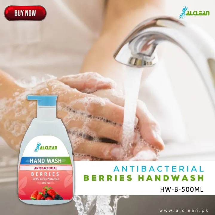 Alclean AlClean Hand Wash Berries 500ml | Daraz.pk