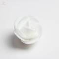 2X 100pcs PE Foam Rose Flower Heads Artificial Rose Flowers White. 