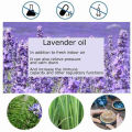 20ml Lavender Insomnia Spary Deep Sleep Pleasant Sleep Insomnia Essential Oil Soothe Enjoyable Sleep Insomnia Therapy Aids Spray. 
