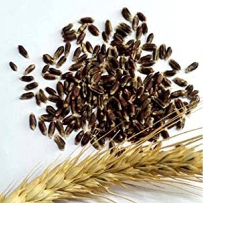 BLACK%20WHEAT%20FLOUR%20(1%20KG)%20for%20eating%20and%20cooking%20%7C%20kale%20gehu%20ka%20atta%20%7C%20-%20Image%204