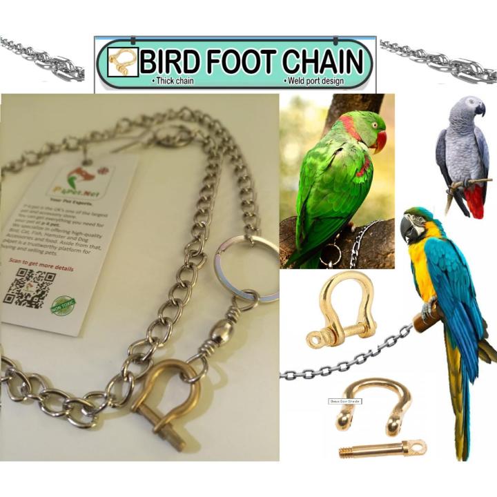 UK Bird Toys Parrot Leashes Foot Chain, Stainless Steel chain Anti-bite Flying Training Solid Brass U Lock Clasp--Brass Shackle Bird Harness for Parrots Macaw African Greys Parakeet Cockatoo Ring neck electus medium and large Anti-Off Fly Birds Flight