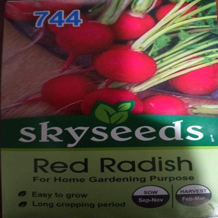 Sky Seeds-Red Radish-For Home Gardening Purpose-Easy to grow-Long cropping period-sow(sep-nov)-harvest(feb-mar)
