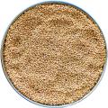 White Kangani (Bareek kangani) White Millet Seeds, Birds food - 500 Grams. 