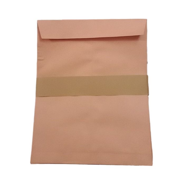 Good Quality A4 Brown Envelopes | Pack of 50 | Premium quality Office Envelopes Document envelopes for letters khakee