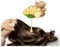 The body shop Ginger Anti-Dandruff Shampoo 400ml. 