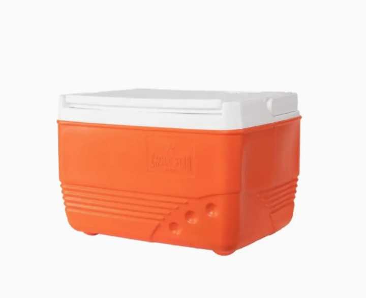 Coll Ice Box Small cooler, Size 5.5 Liters