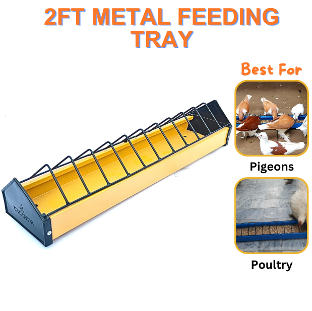 Bird Feeding Tray, Bird Feeder ,Metal Feeding Tray, Poultry, Hen , Pigeon, 2ft