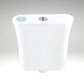 Ava Flush Tank with Filter. 
