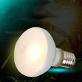 2 Pack Reptile Uvb Uva Heat Lamp Bulb For Reptiles Truly Sun-Like Bright Heat For Reptiles, Amphibian And Birds (100 W). 