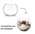 Techmanistan Transparent Decorative Fish Bowl, Fish Bowl Creative Glass Fish Tank Spherical Round Turtle Tank Desktop Decoration, Clear Glass Vase, Plant Vase Pot. 