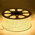 Warm White Flexible Rope Led Strip Light Water Proof with Adapter - Multiple Sizes LED Rope Light for Indoor and Outdoor Use Long Life Bulb Rope Light. 