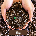 Soilless potting mix for seed starter - Coco Peat - Vermicompost - Perlite - Seed Starting potting mix for kitchen gardening By Moji Mall. 