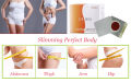 Chinese Weight-losing Navel Sticker 10 Pcs. 