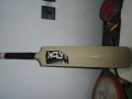 plastic bat (hard plastic RBK). 