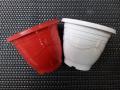 Set of 6 Cute plastic Pots for Seedling Cactus Succulent Flower pot. 