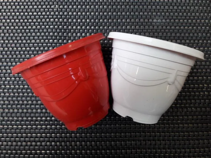 Set%20of%206%20Cute%20plastic%20Pots%20for%20Seedling%20Cactus%20Succulent%20Flower%20pot%20-%20Image%203