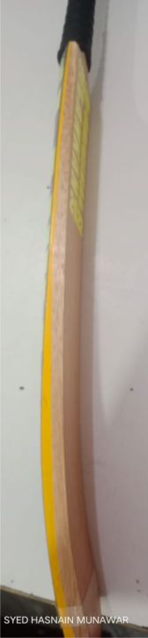 coconut%20bat%20-%20Image%204