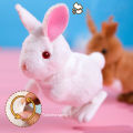 Wind-up Toy Bunny Kangaroo Boys Girls Kindergarten Cartoon Wind-Up Toy. 