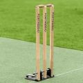 FORTRESS Spring Back Cricket Stumps - 28in ICC Regulation Stumps for Cricket | Club & Pro Styles | Spring Back Wickets & Bails | Freestanding Cricket Set for Seniors. 