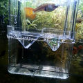 Double-layer Transparent Fish Breeding Tank Versatile Aquarium Isolation Box. 