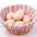 10 Pcs -  Artificial Plastic Egg Shell (Basic Learning Egg for Kids) Artificial Eggs - Hollow Egg Shell. 