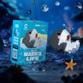 Lego Toys Ocean Series Animal Building Blocks Clownfish Turtle Dolphin Crab Education Toy Birthday Gift for Kids. 