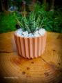 Ceramic Pots, 3inch Size, Available in Different Designs, Ceramic Pot For indoor plants Decoration, Indoor Décor, Cactus Succulents Plants, Unique and Elegant designs. 