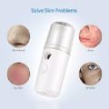 Portable Nano Hydrator Mini Spray Humidifier Face Facial Mist 30ml Humidifier Sprayer. 