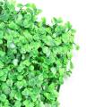 Artificial Turf Green Grass. 