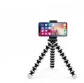 LED Selfie Ring Light 26cm * 31cm | 3 Multicolors Lighting Circle Ring Light with tripods for TikTok. 