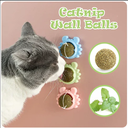 Catnip Ball Cat Mint Ball Toy Naturally Healthy | Daraz.pk