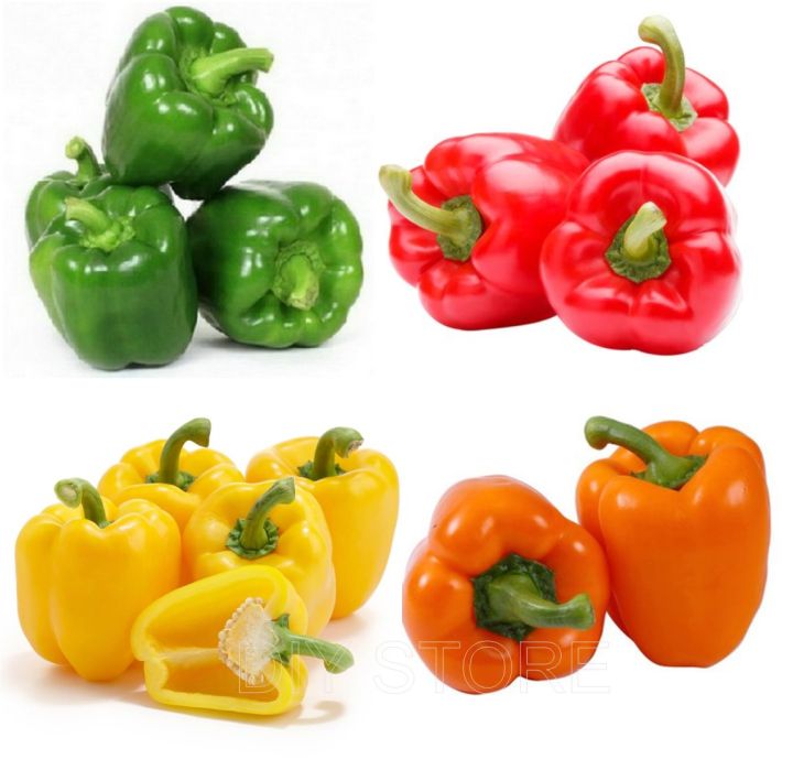 4 Different Packets Capsicum Varieties Bell Pepper Hybrid F1 Seeds ...