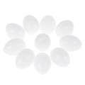 10Pcs White Solid Plastic Solid Pigeon Eggs Dummy Fake Eggs Hatching Supplies. 