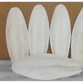 Cuttlefish Bone-1KG. 